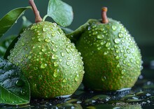 a pair of green fruit with water droplets on it