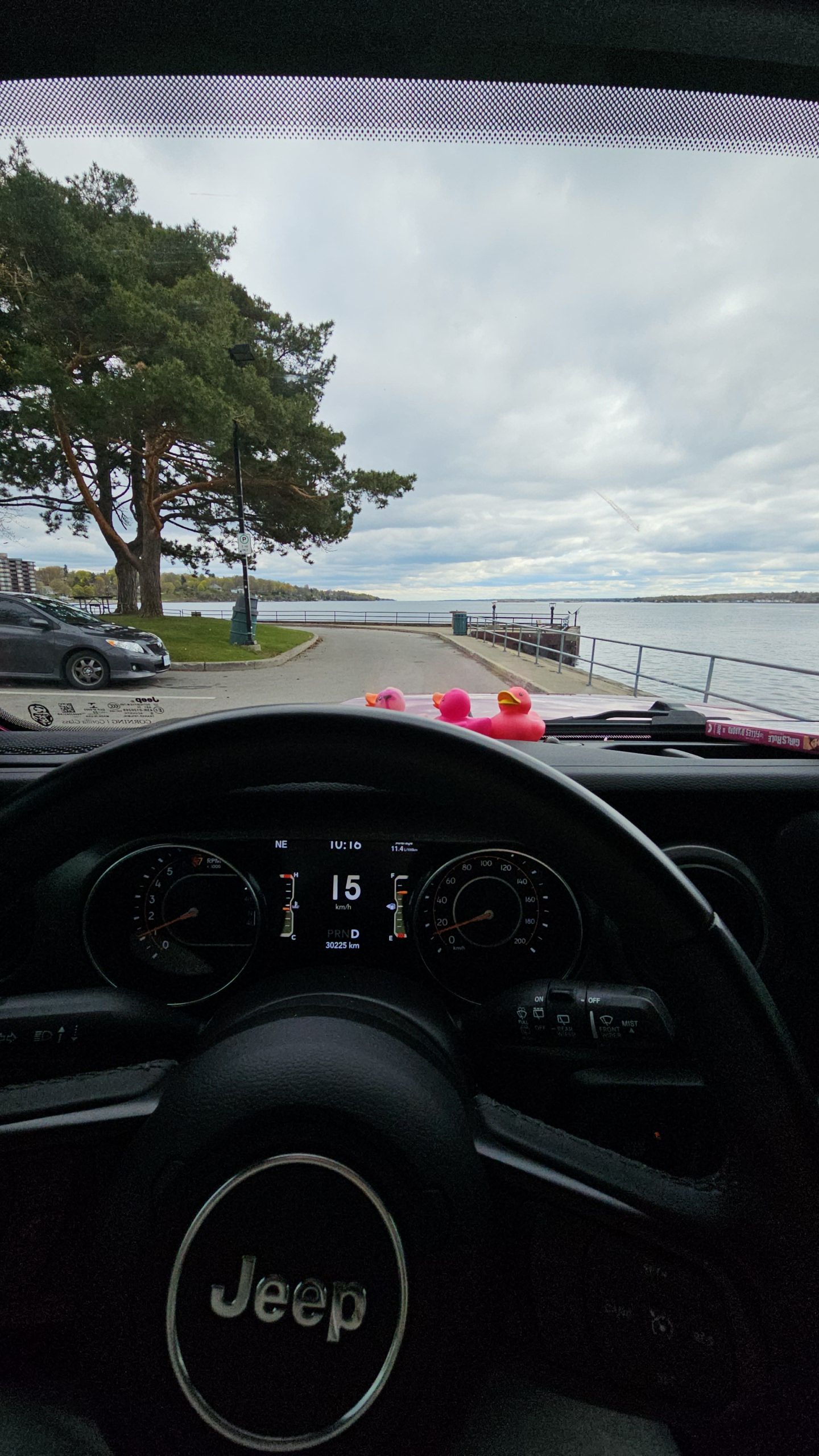a car dashboard with pink rubber ducks on it
