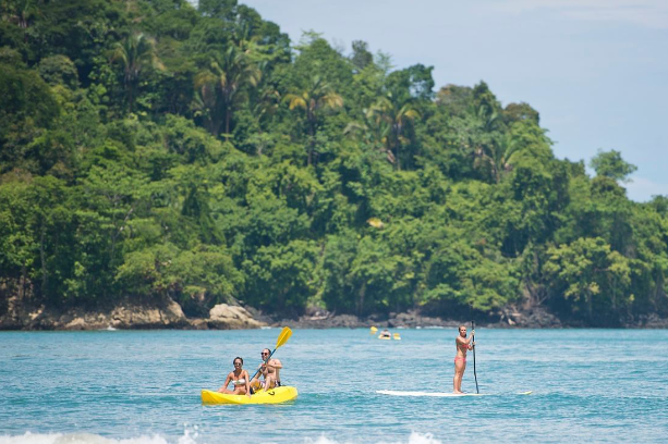 a group of people on paddle boards in the water