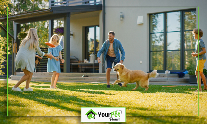 a group of people playing with a dog