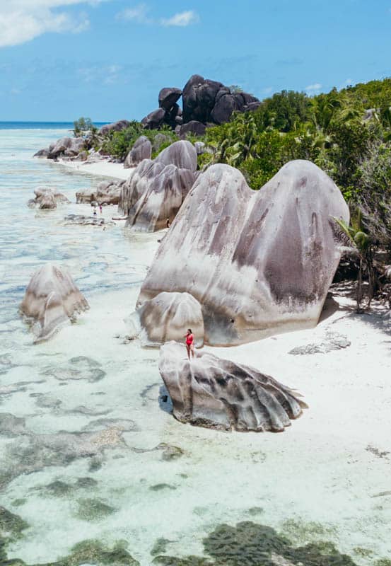 a person standing on a rock on a beach