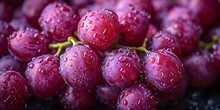 a bunch of grapes with water drops on them