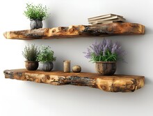 a shelf with plants and books on it