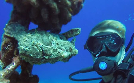 a person in scuba gear and goggles next to a coral reef