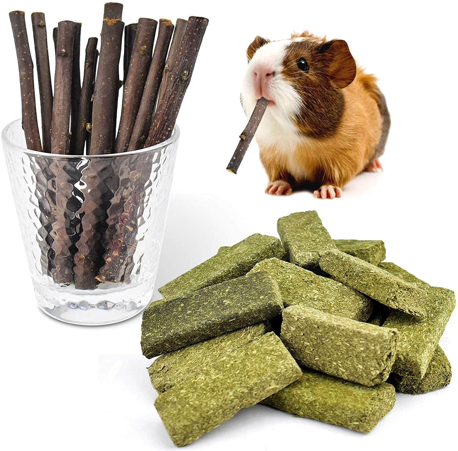 a guinea pig in a glass with a stick in its mouth