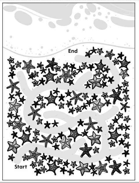 a maze game with starfish
