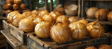 a group of onions on a table