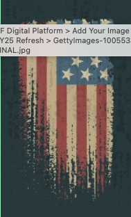 a screen shot of a flag
