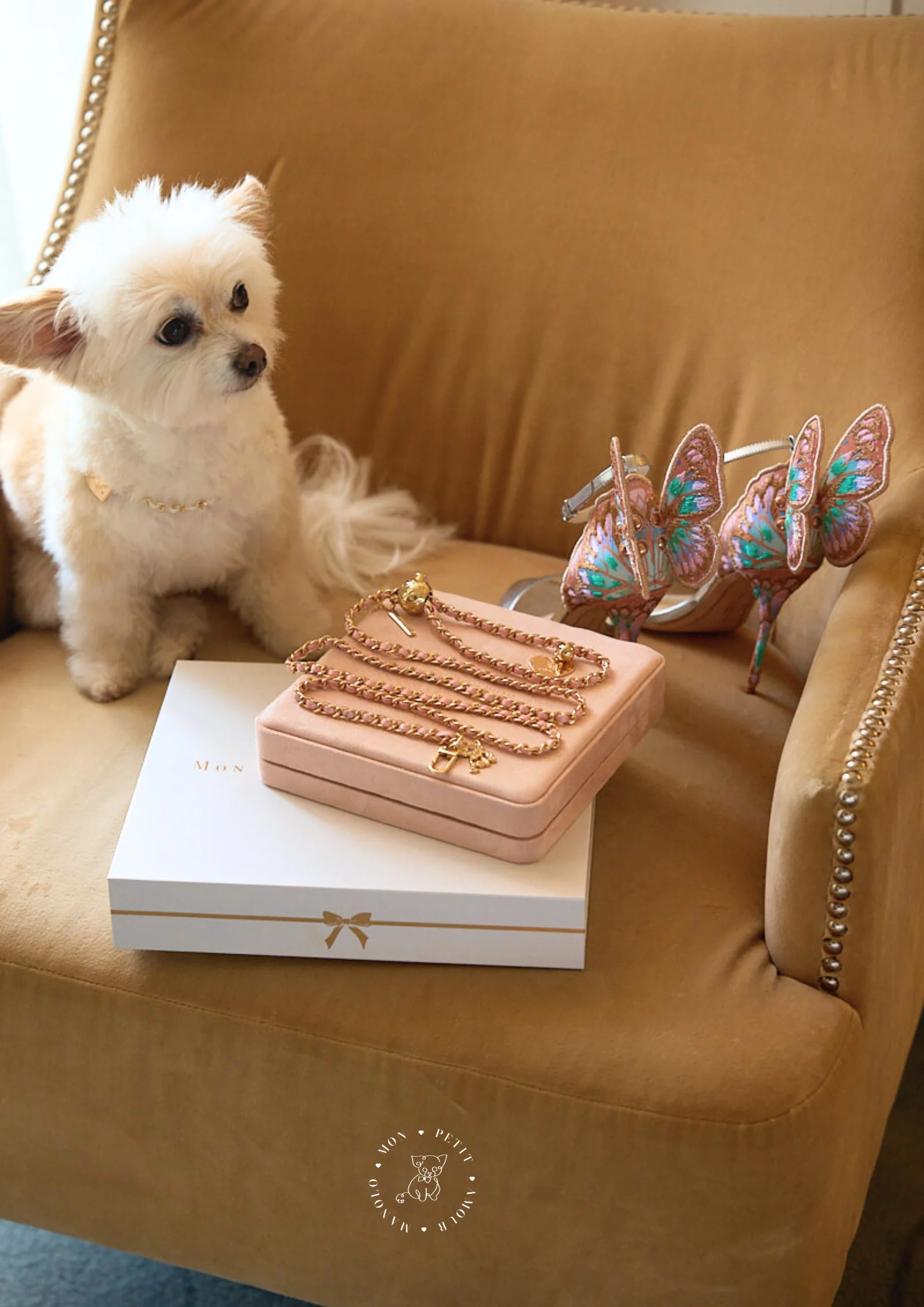 a dog sitting on a chair with jewelry and a box
