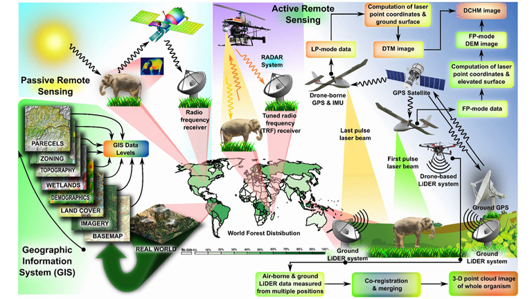 a diagram of a remote sensing system