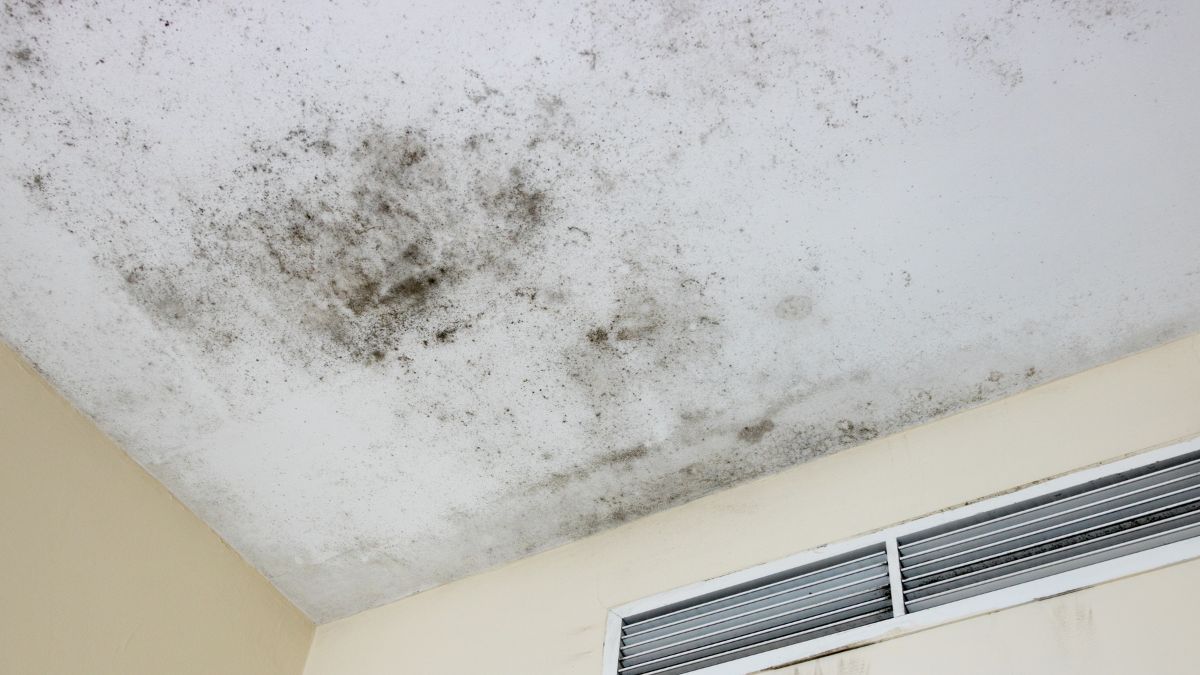 a ceiling with mold on the ceiling