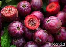 a group of purple fruits