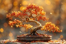 a bonsai tree with orange leaves