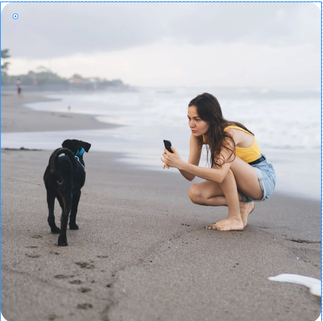 a woman kneeling on the beach with a dog