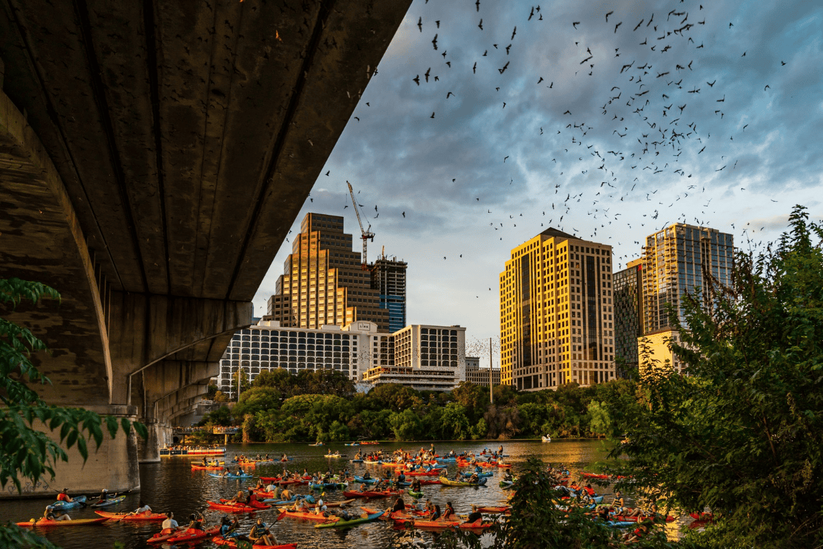 a group of people in canoes on a river under a bridge