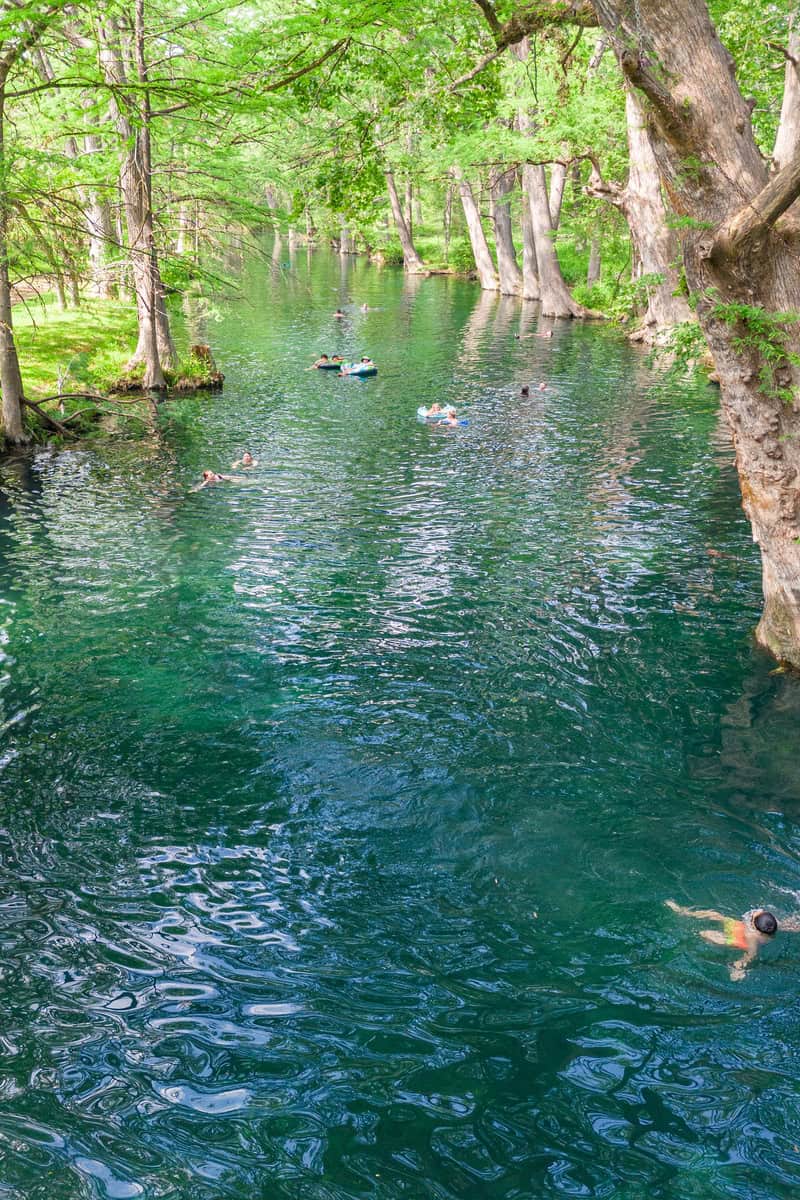 a group of people swimming in a river surrounded by trees
