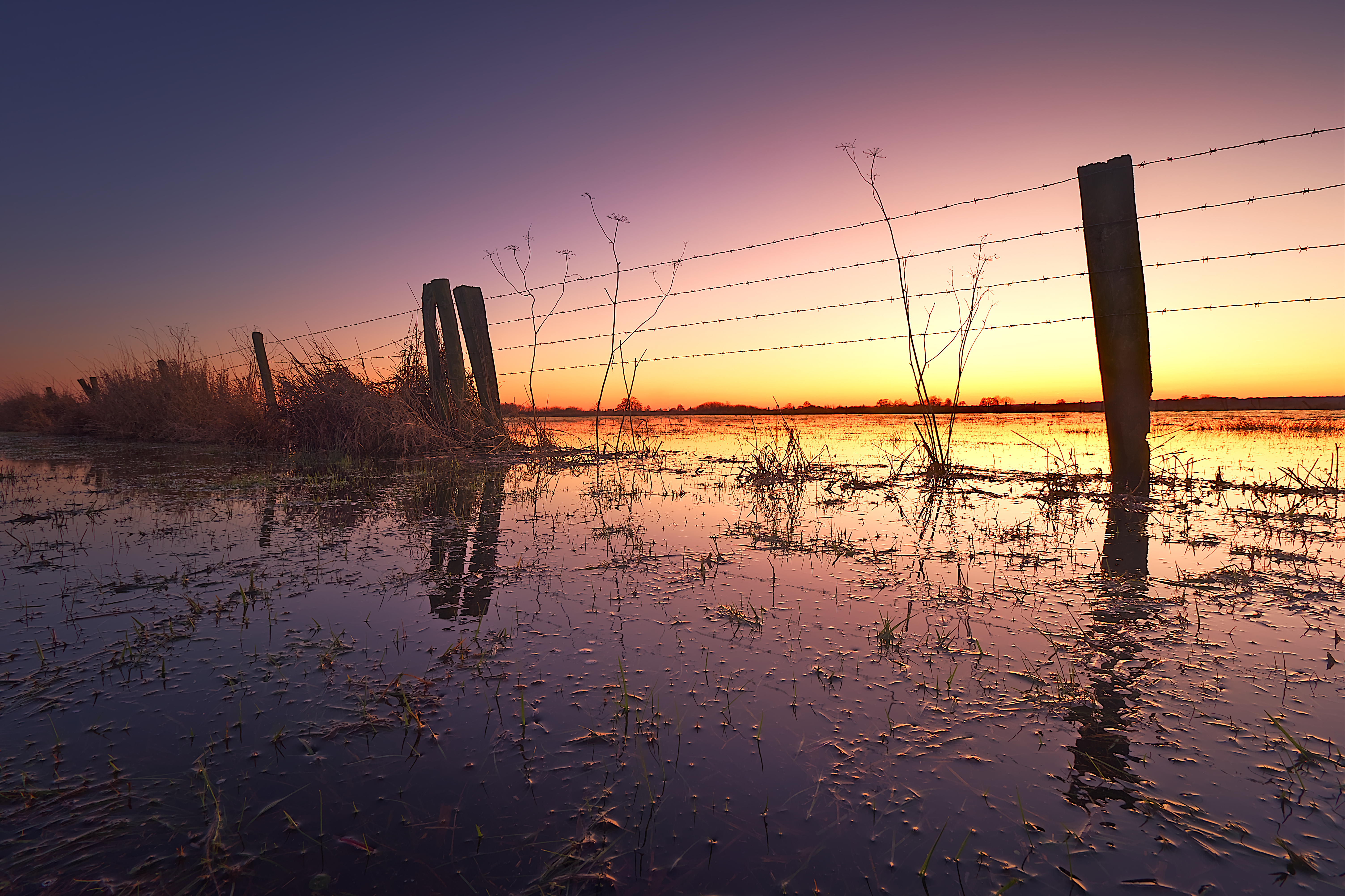 a fence in a flooded field