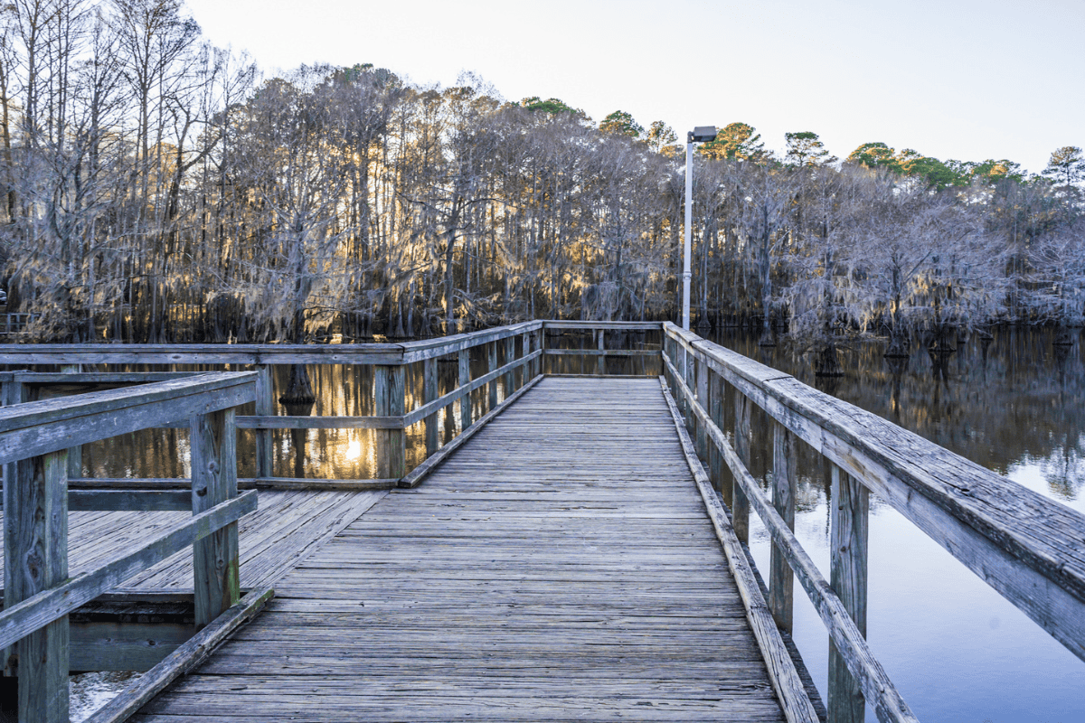 a wooden dock with railings and trees in the background