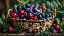 a basket of blueberries