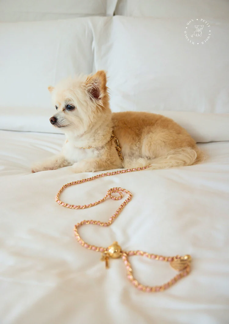 a dog lying on a bed with a necklace