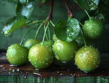 a group of green fruits on a tree