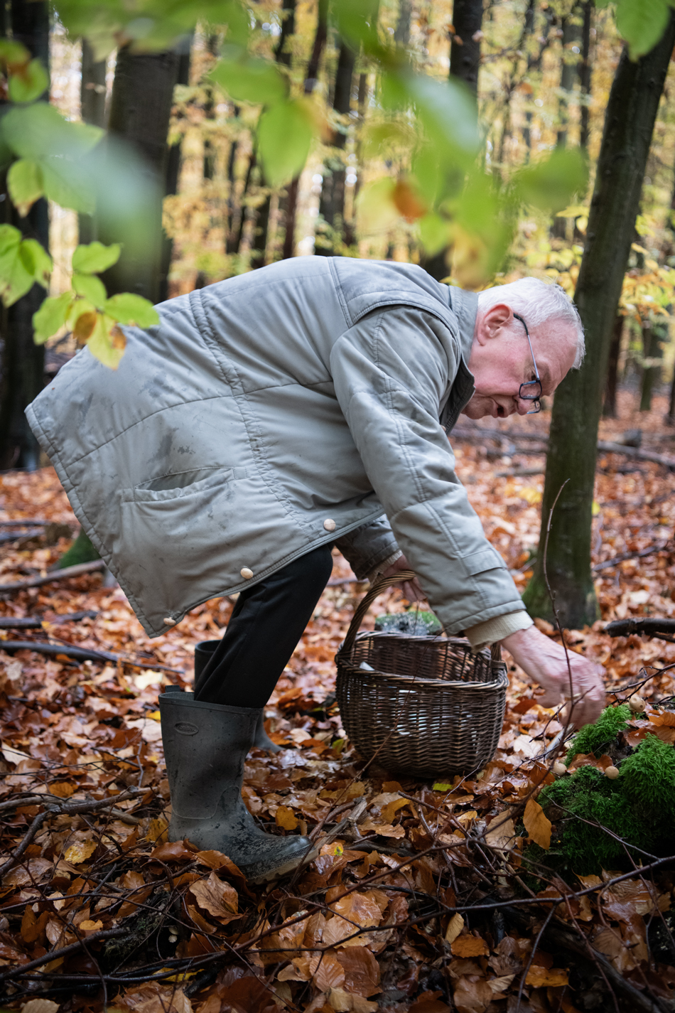 a man picking up a mushroom in the woods