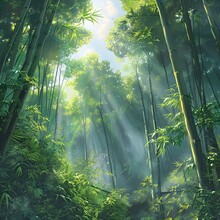 a green forest with sunlight shining through the trees