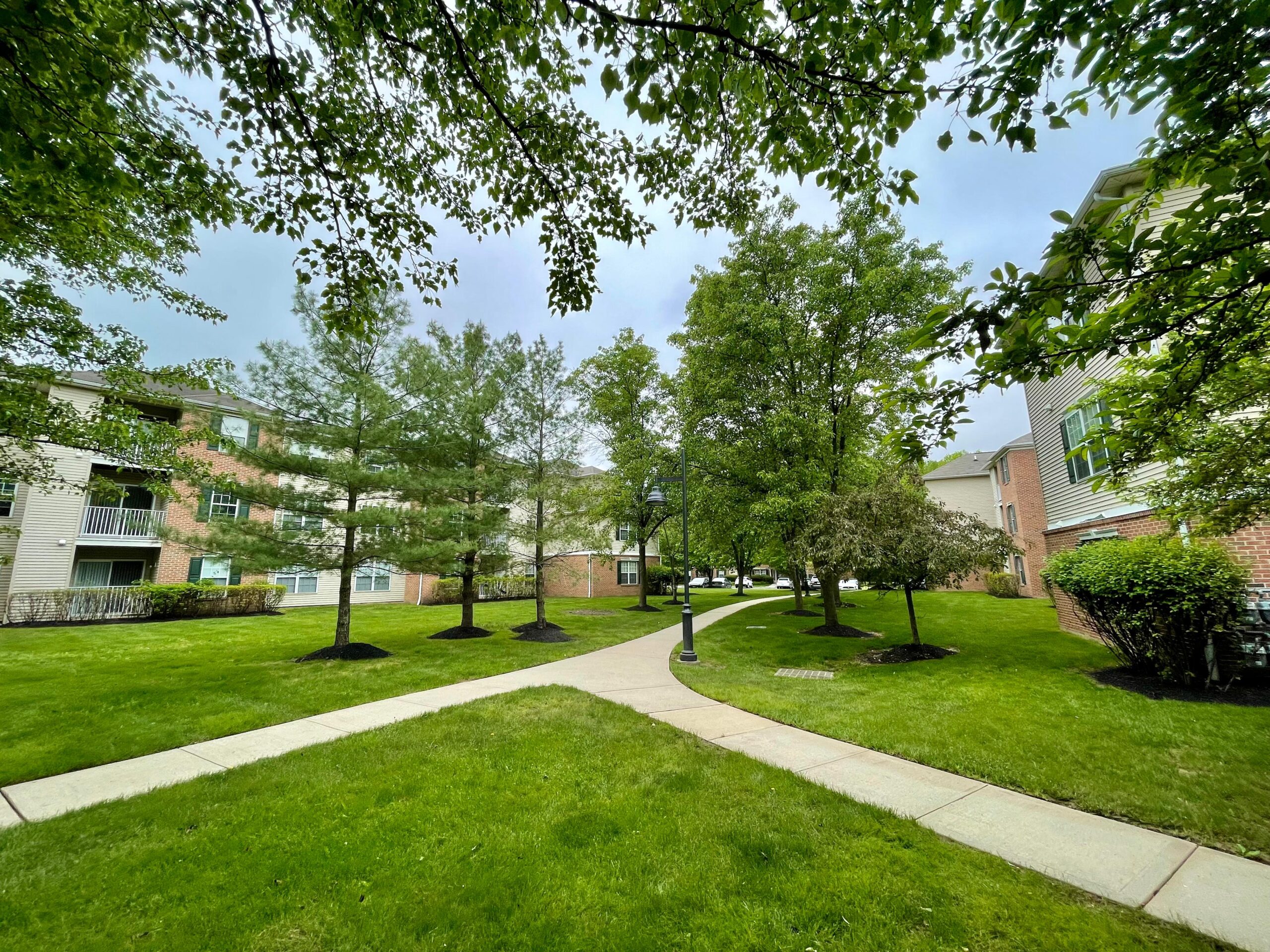 a walkway between buildings with trees