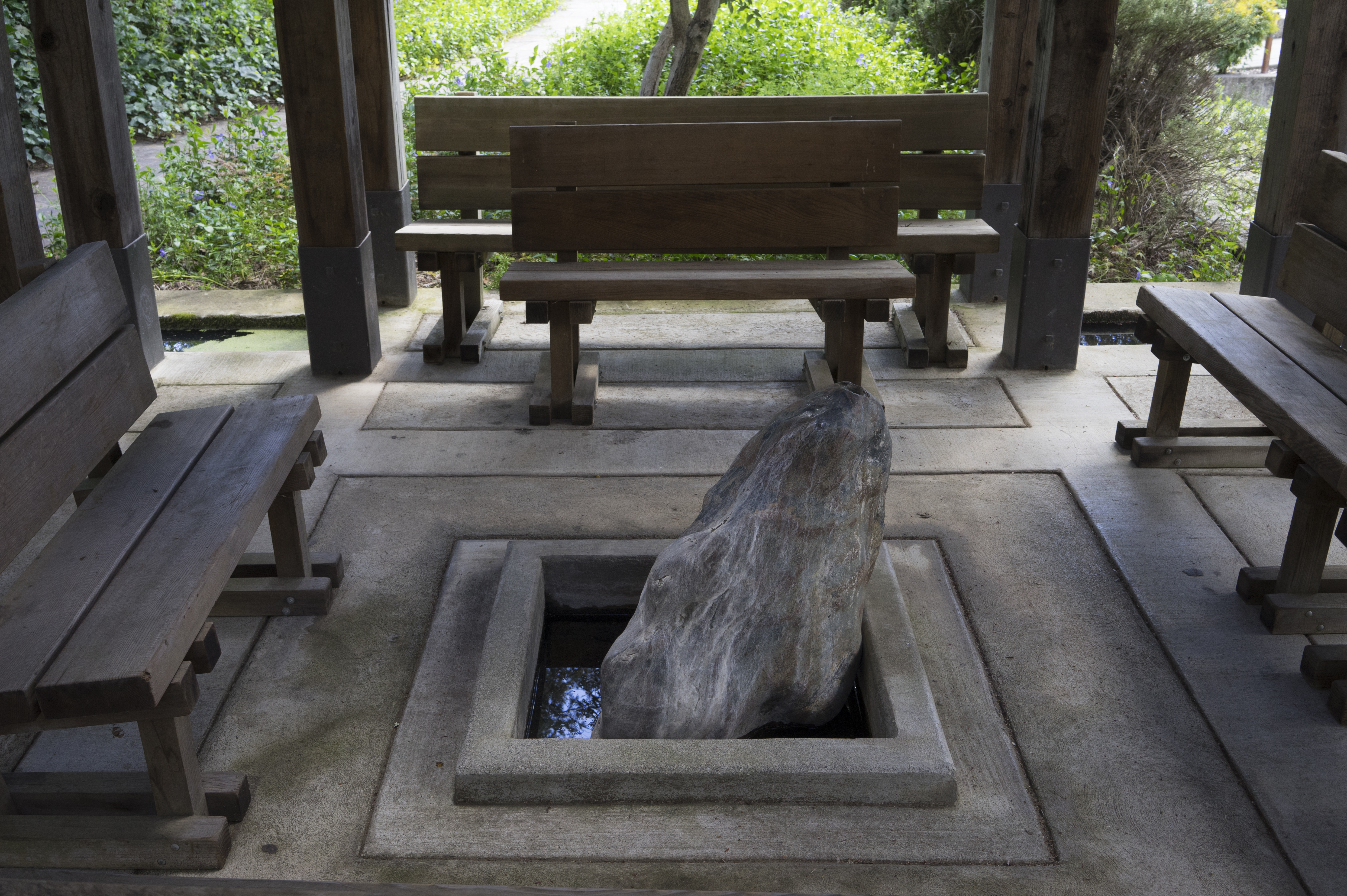 a rock in a square hole in a concrete area with benches