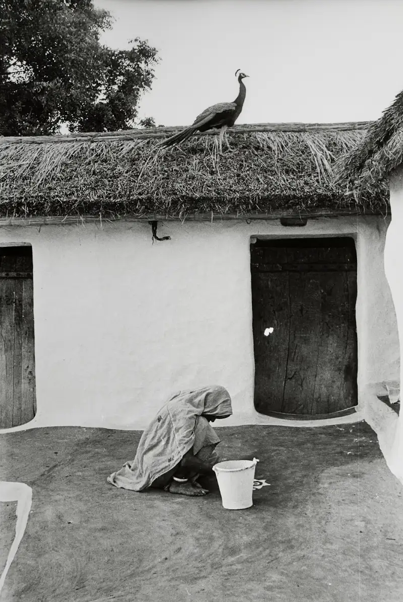 a woman sitting on a roof with a bird on the roof