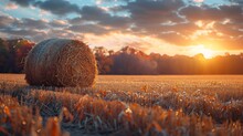 a large field with hay bales