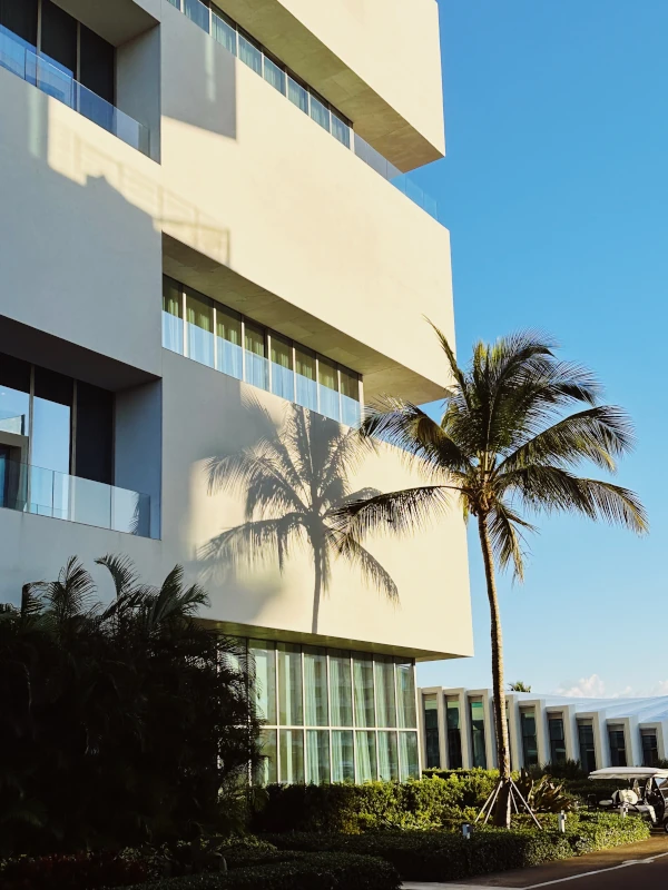 a building with palm trees and a parking lot