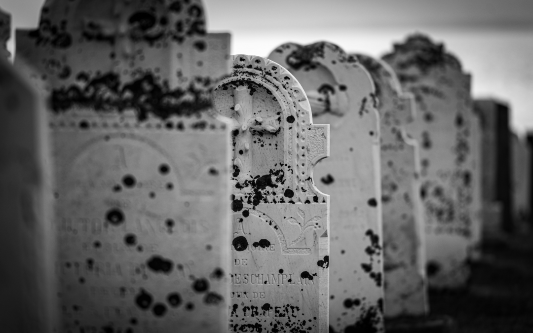 a group of headstones with black spots