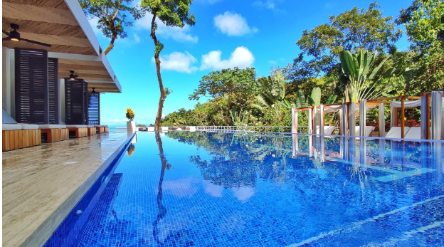 a pool with trees around it