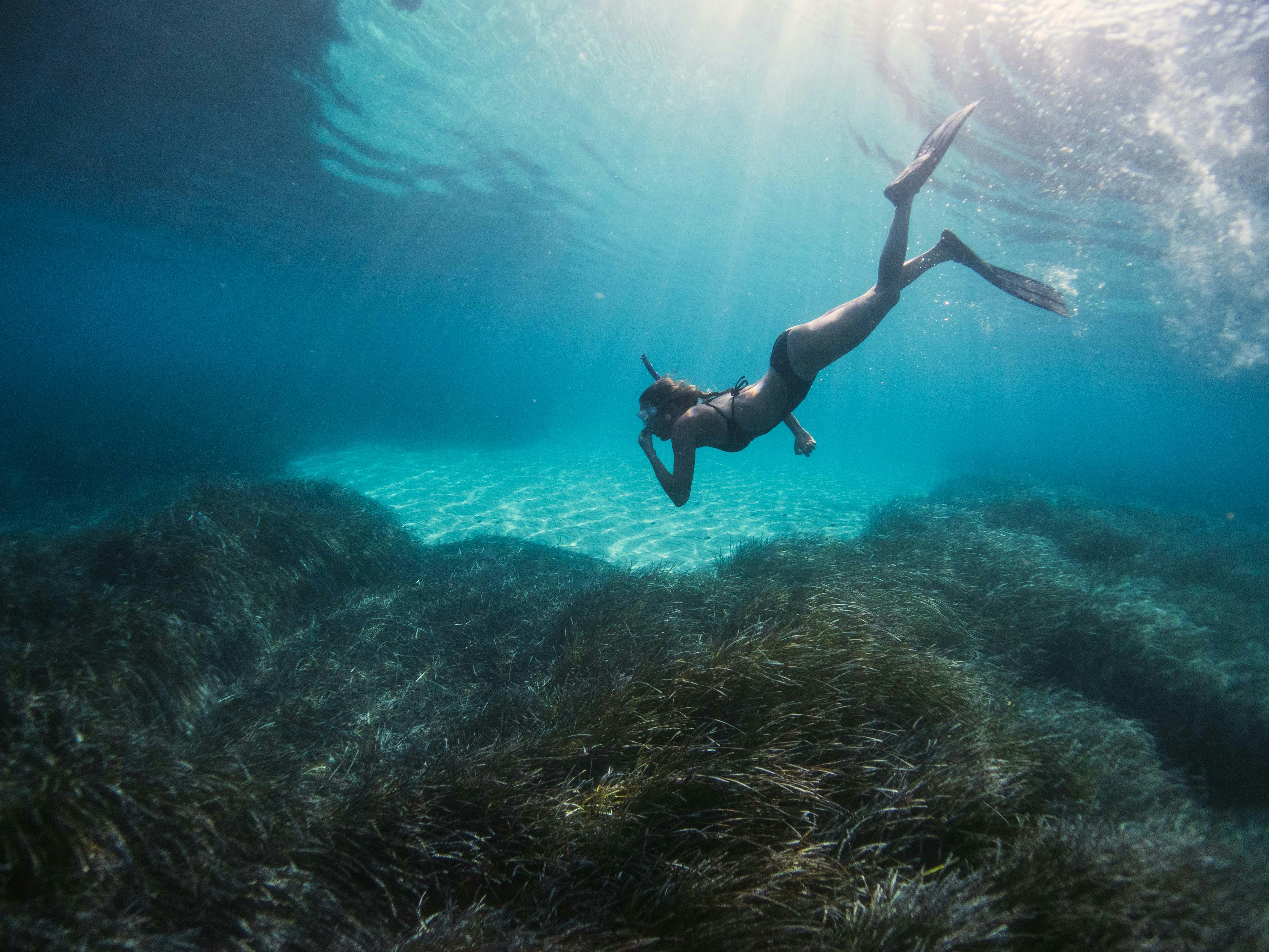 a woman swimming underwater in the ocean