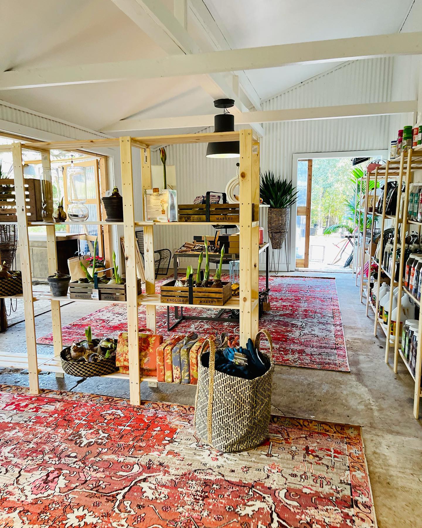 a store with shelves and plants