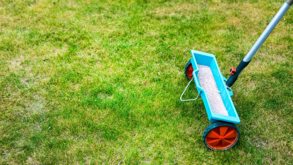a blue wagon on grass