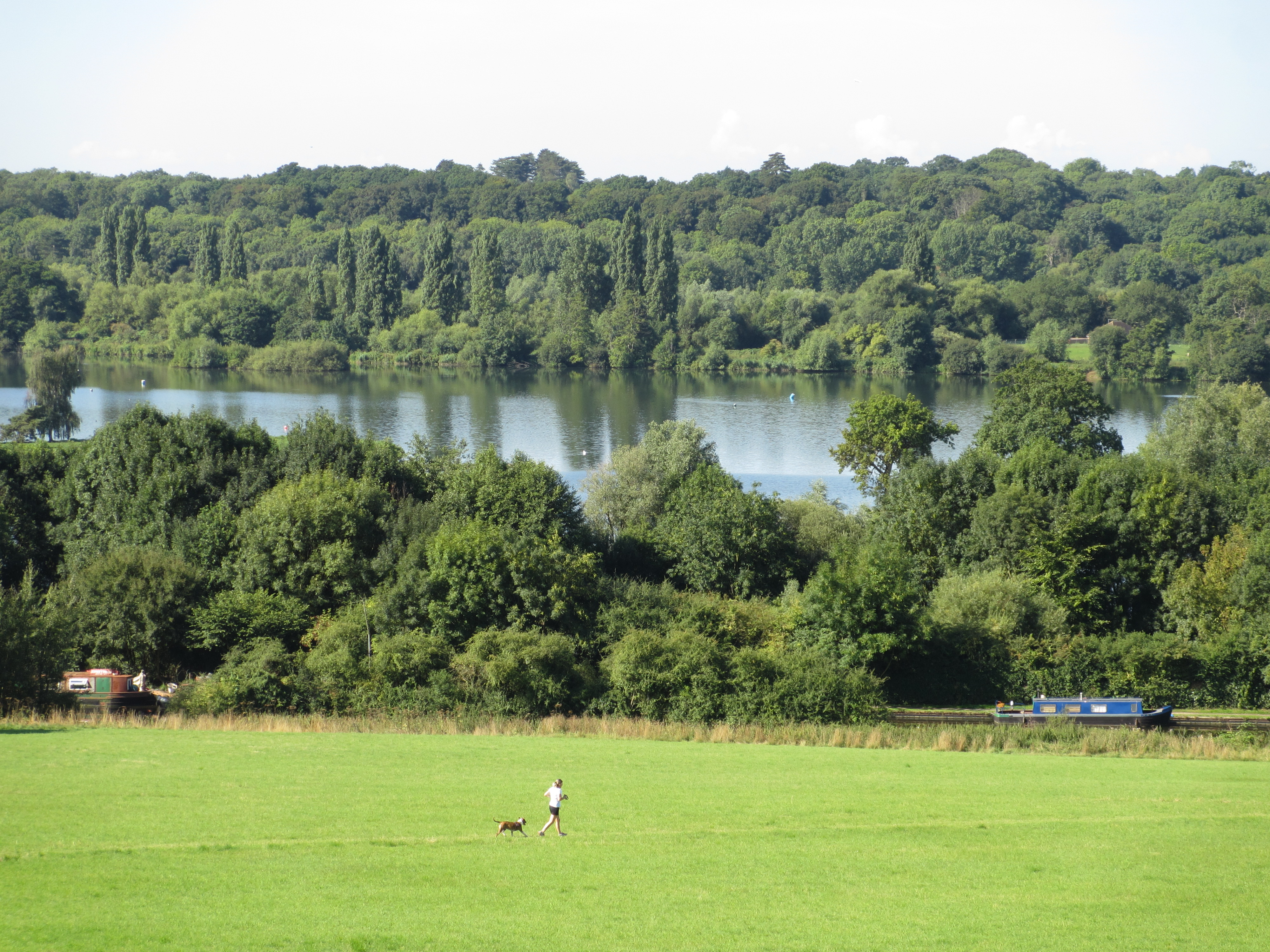 a person walking a dog in a field with trees and a lake