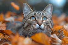 a cat lying in leaves