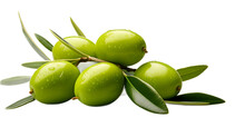 a group of green olives with leaves