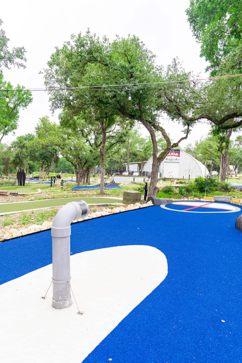 a blue playground with trees and grass