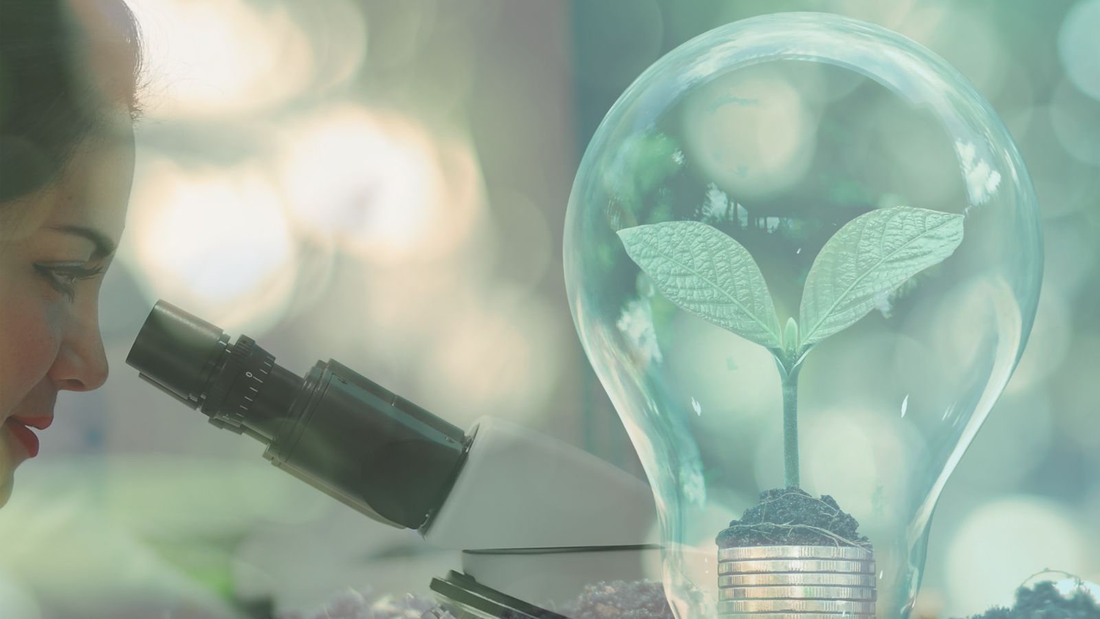 a light bulb with a plant inside