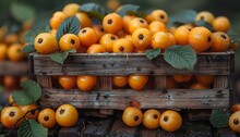 a wooden crate full of orange fruits