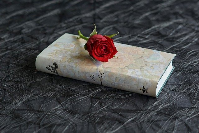 a red rose on a book