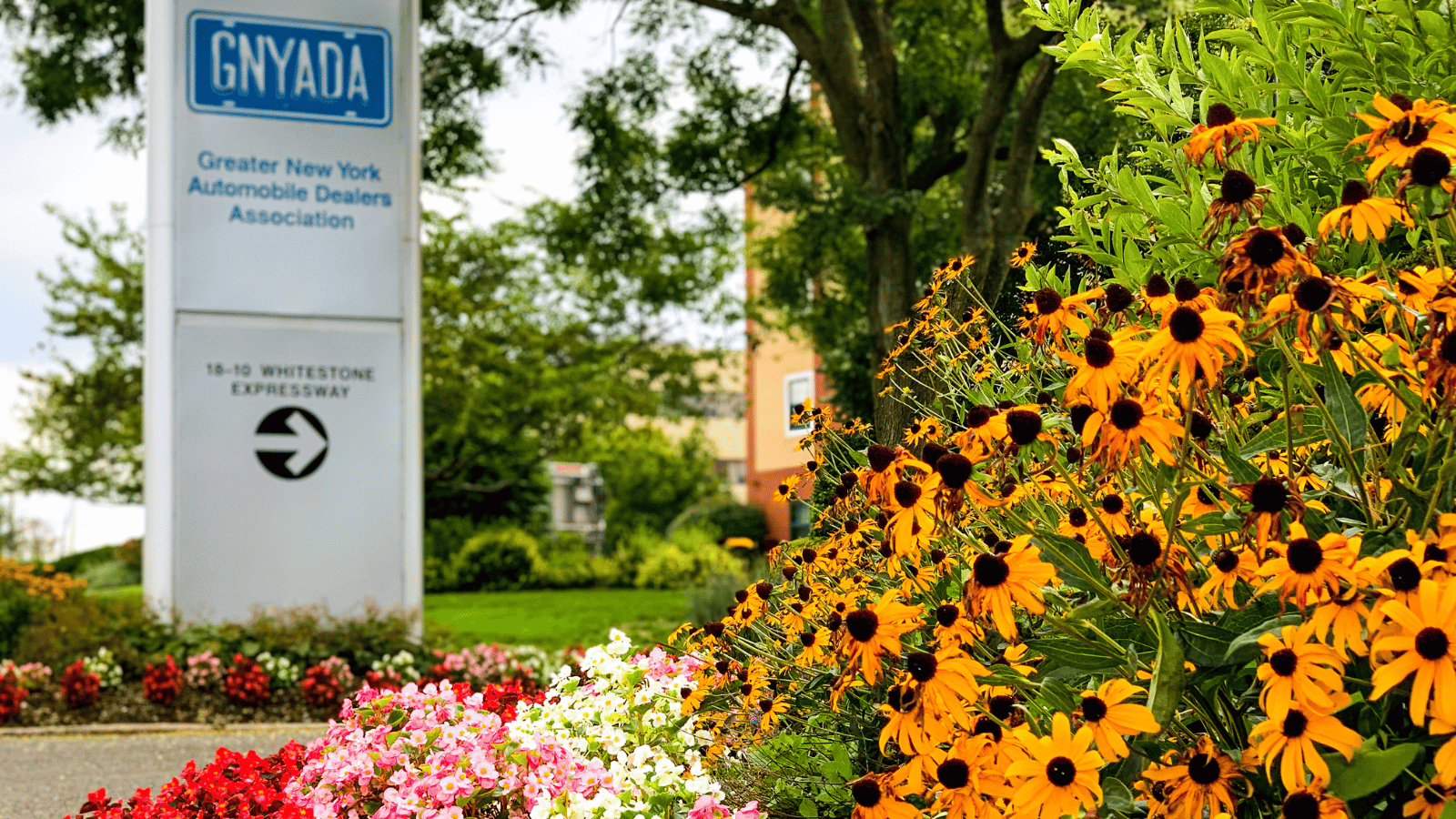 a group of flowers in front of a sign