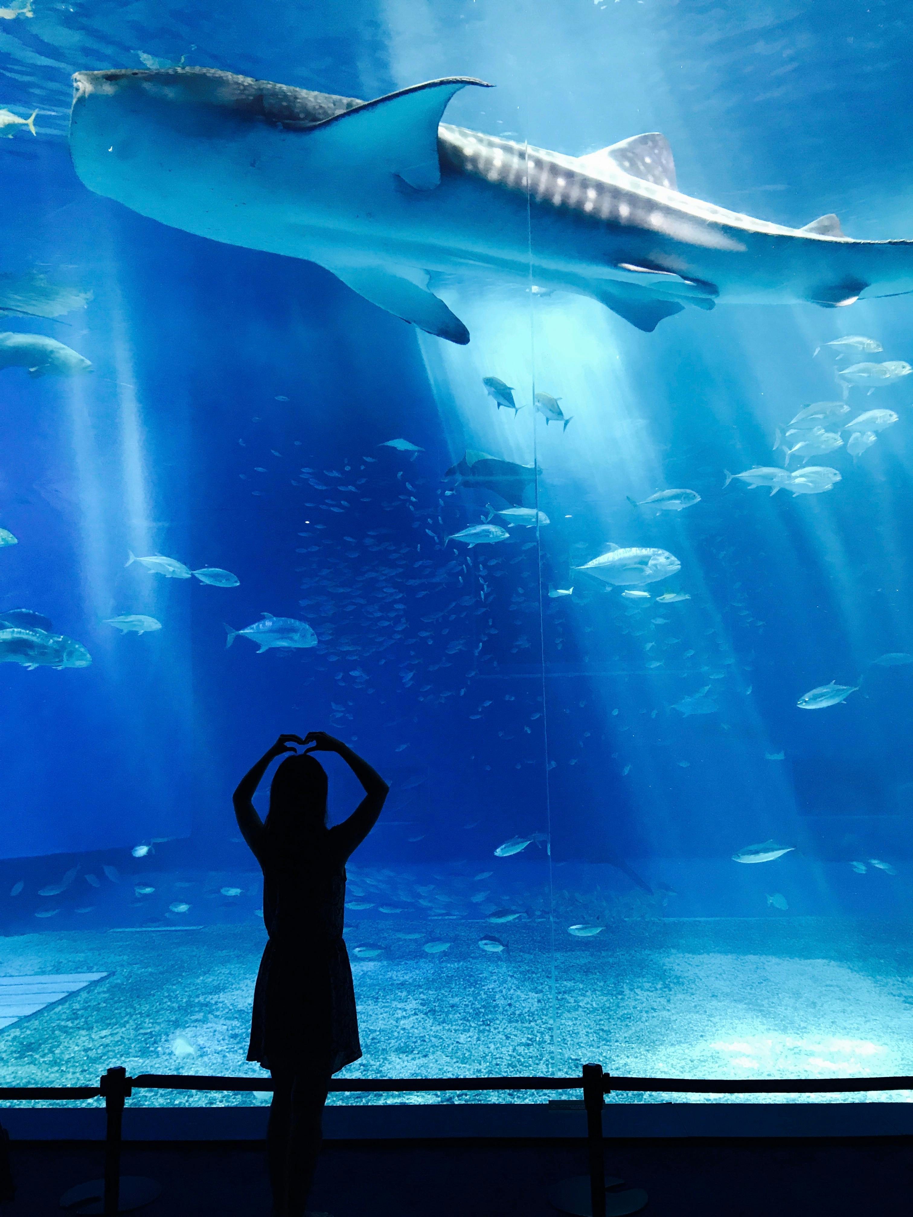 a woman standing in front of a large fish tank