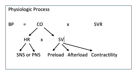 a diagram of a process