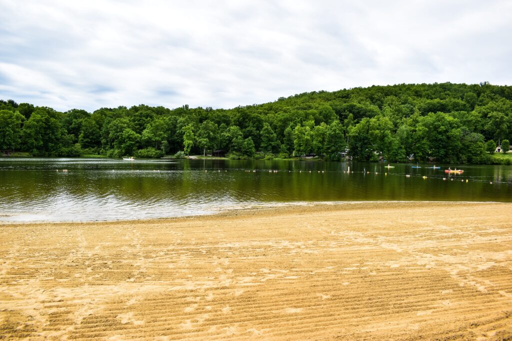 a sandy beach with trees in the background