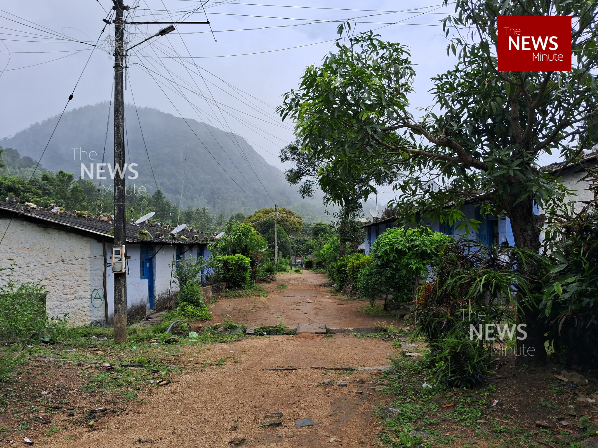 a dirt road with trees and buildings in the background