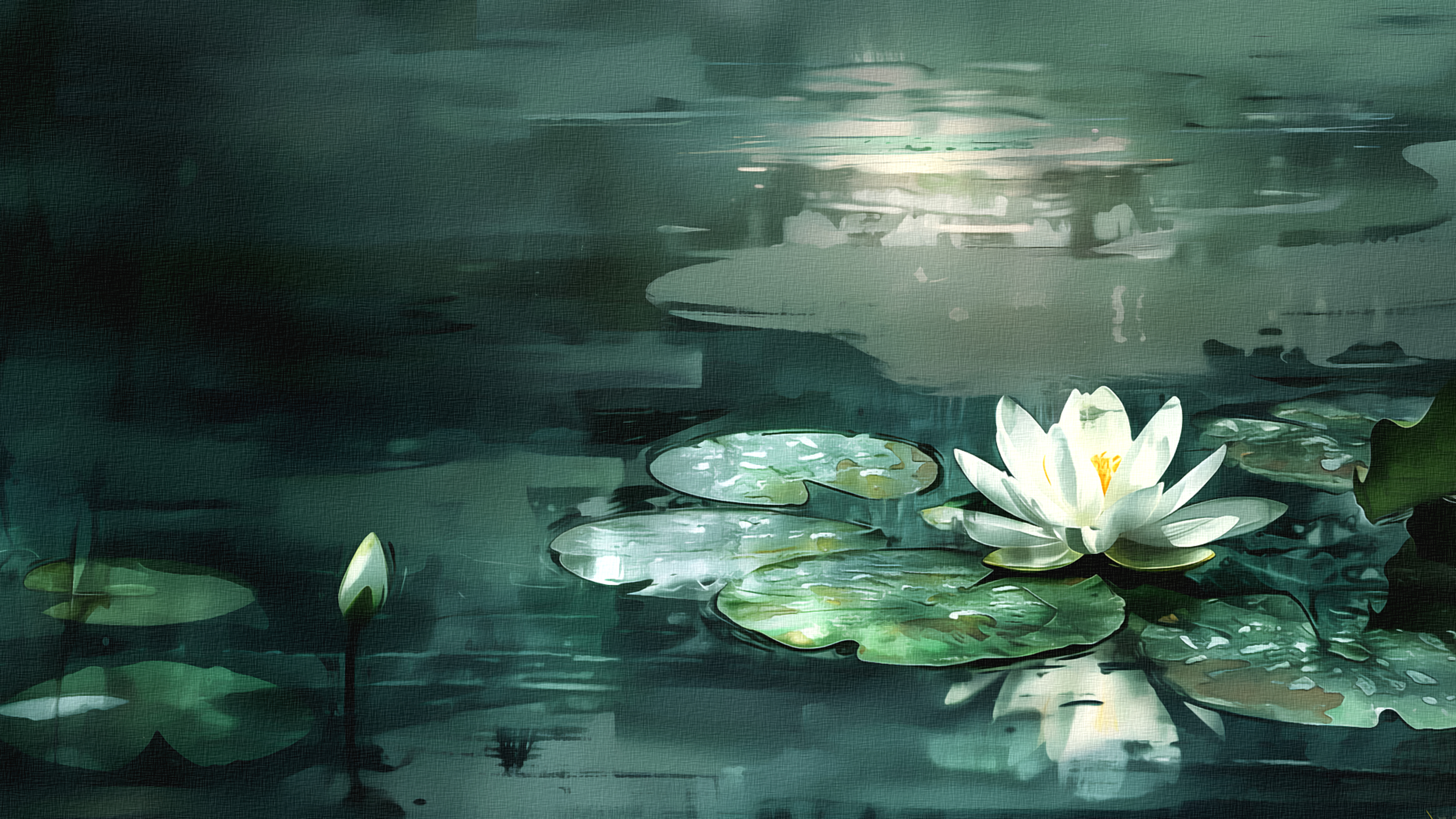 a lily pads in a pond